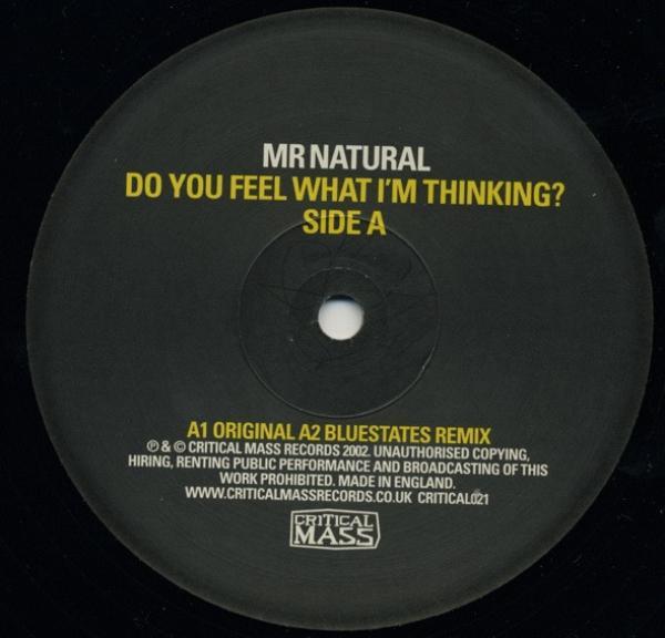 Mr. Natural - Do You Feel What I'm Thinking?